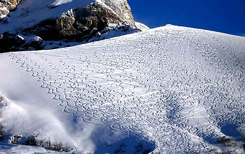 Spuren im Schnee